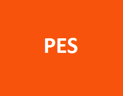 Public Employment Services